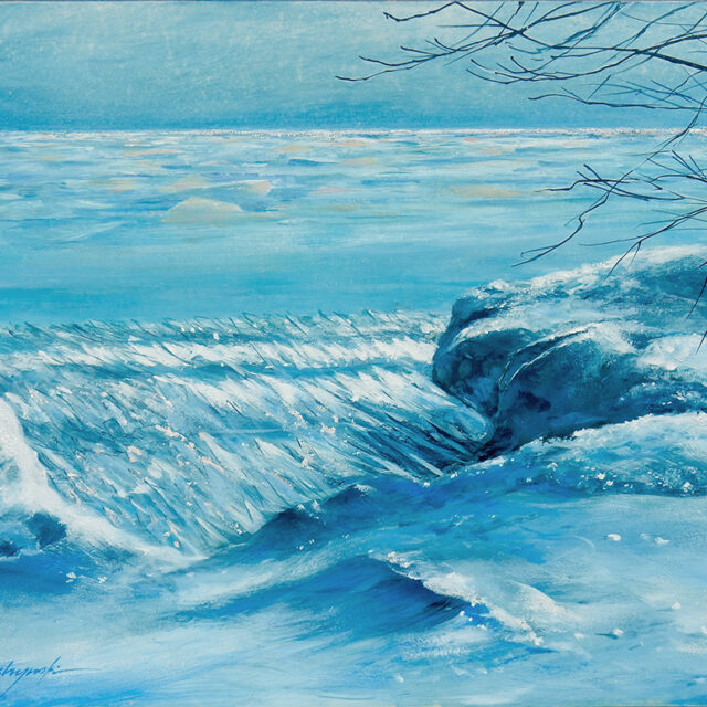 Shards of Ice (Presquile)