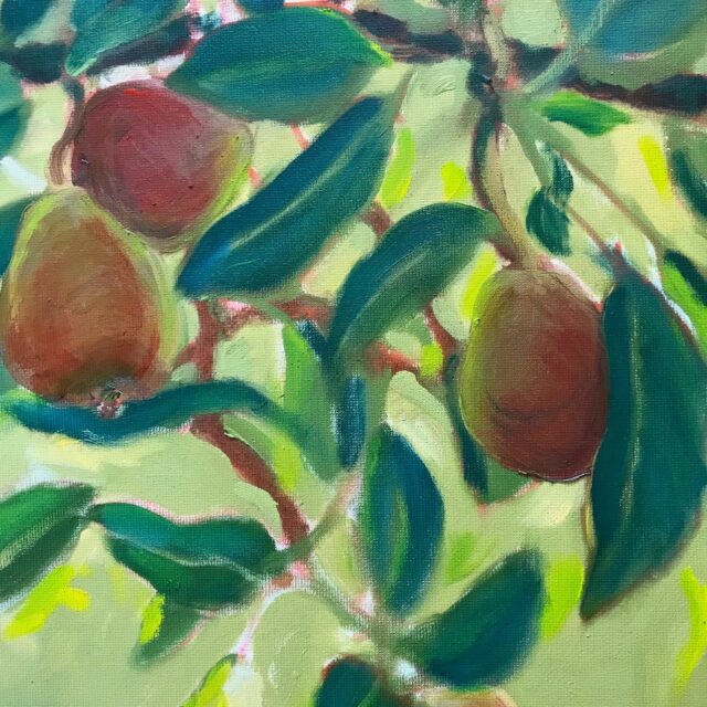 Helen's Pears, oil, Marjorie Cluett Seguin