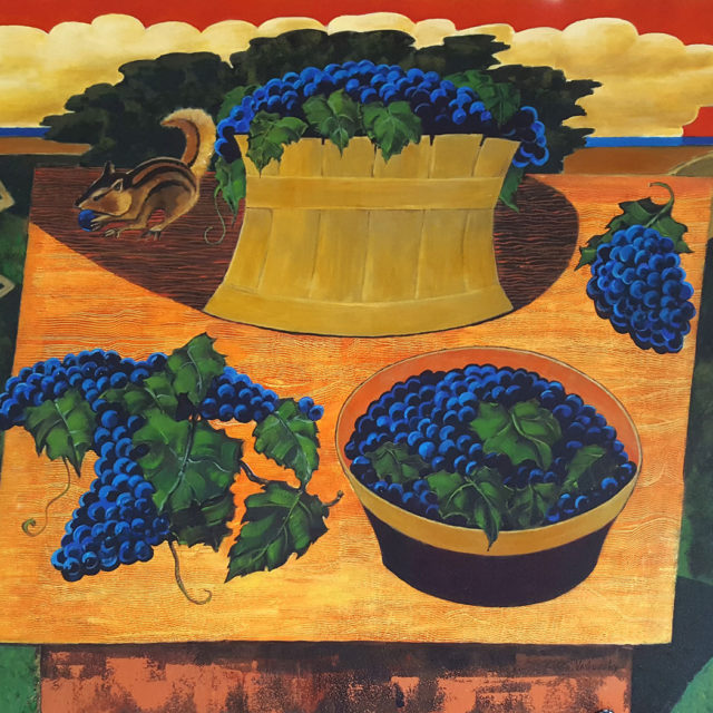 Wild Grapes of the Dunes