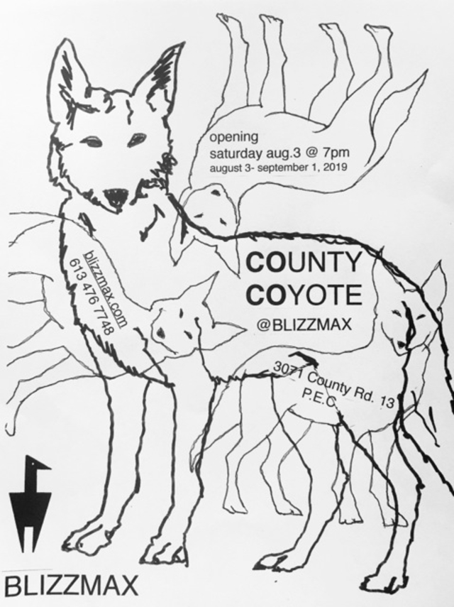 County Coyote