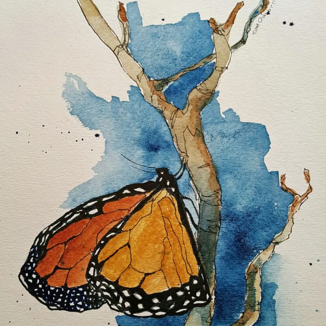 Monarch Butterfly on Branch