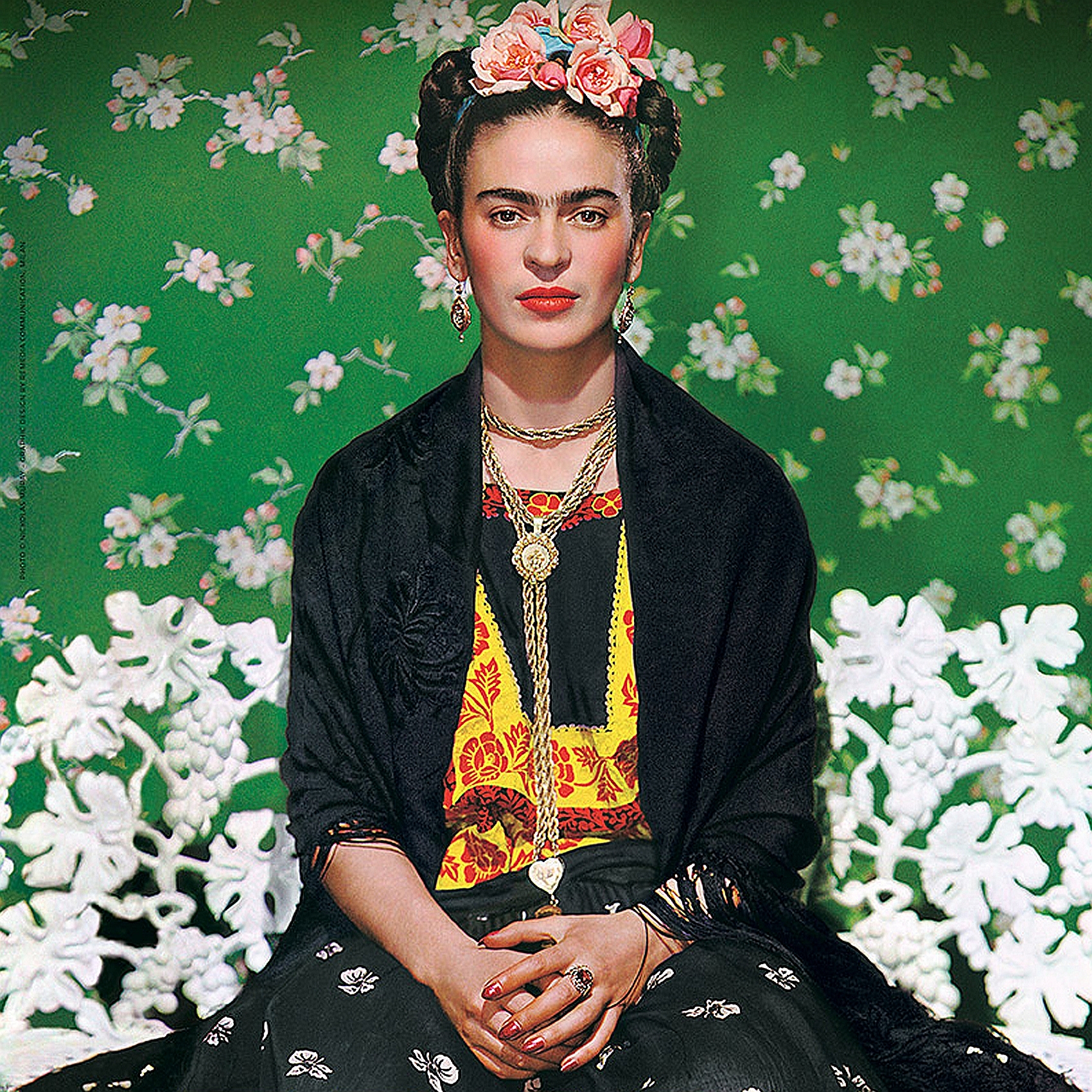 Frida: Viva la Vida  Prince Edward County Arts Council