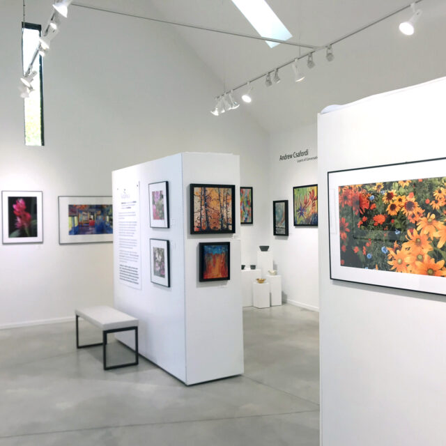 ANDARA Gallery - Interior 2 © ANDARA Gallery