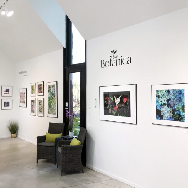 ANDARA Gallery - Interior 6 © ANDARA Gallery