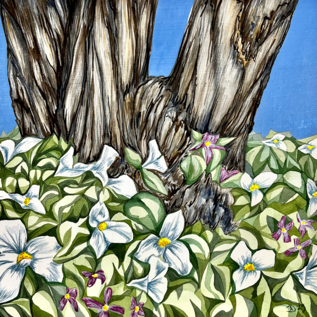 Grove Renewal 2023 watercolour by painter & mixed media artist Dawn Ayer