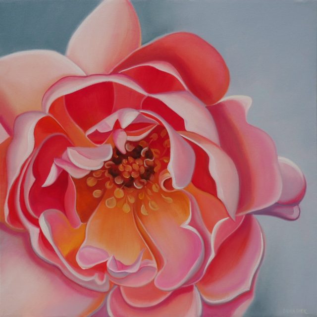 Peachy, oil on canvas, 24 x 24 inches