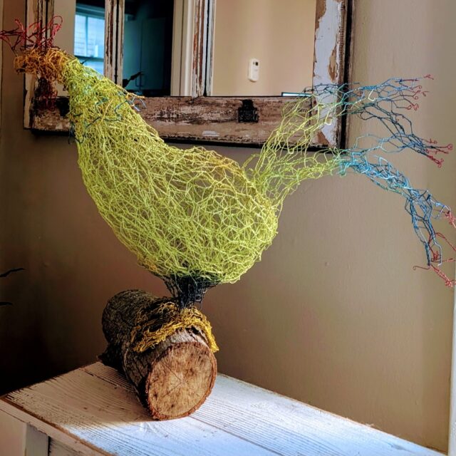 Budgekin in Little Portugal