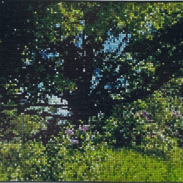 Nothing says May in Prince Edward County better than the many lilac-lined roads and gardens in bloom; Lilac Lane, Counted cross stitch 300×111 on 18ct Aida fabric.
Approximately 23×12 inches framed.