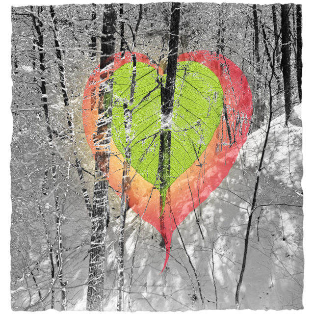 In the Woods, giclée print of mixed media elements