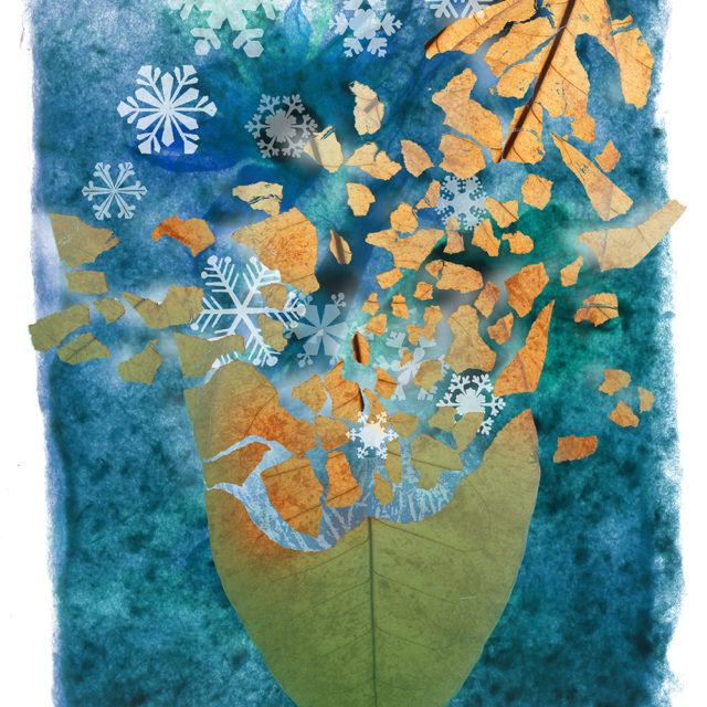 Winter Solstice, giclée print with collage of ink drawn elements, photo of real leaf with digitally altered handmade paper image