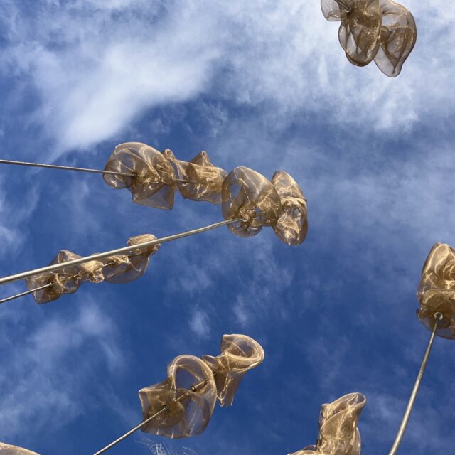 Pods in the Sky, Haliburton Sculpture Garden installation