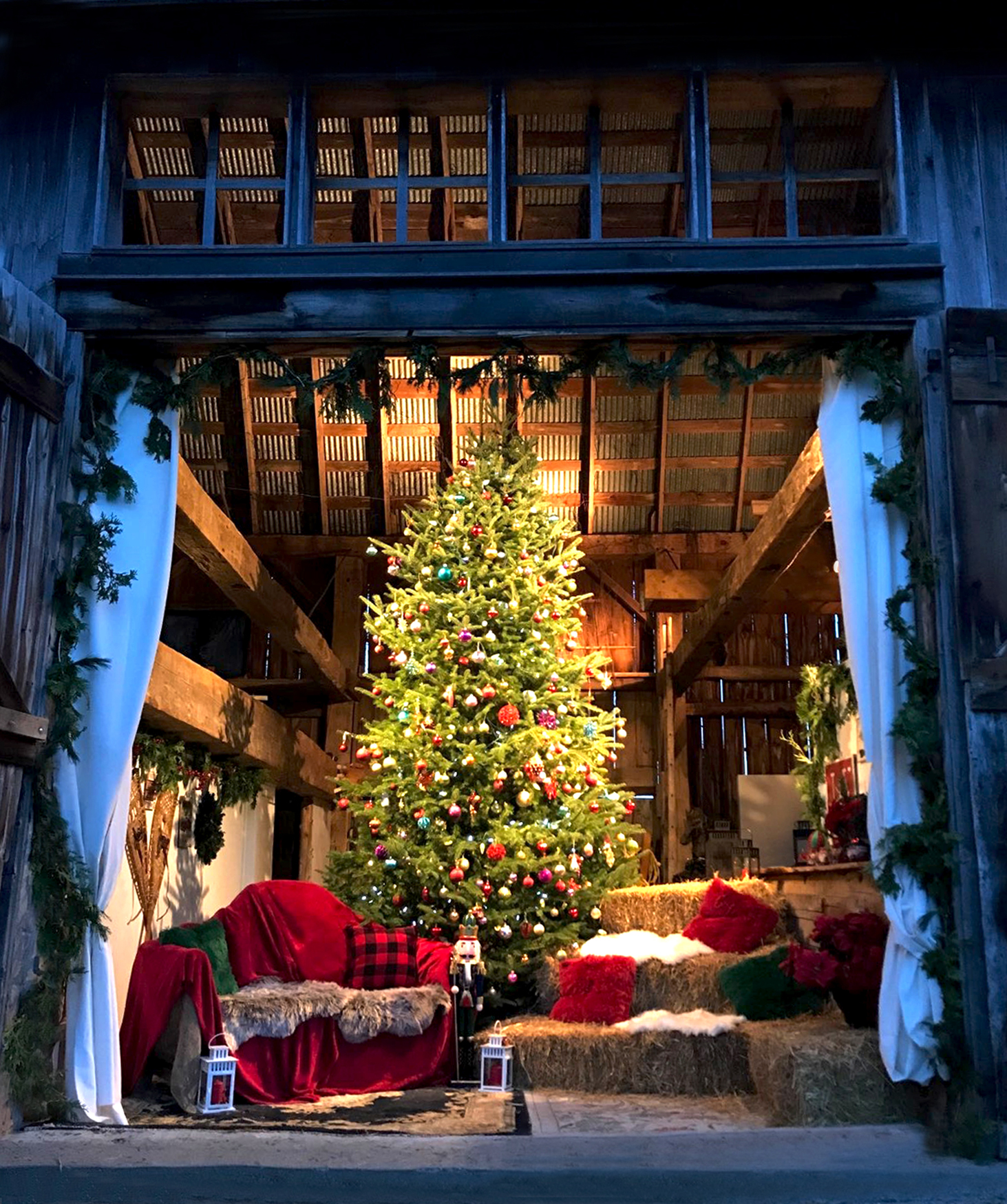 Holiday Photo in the Barn