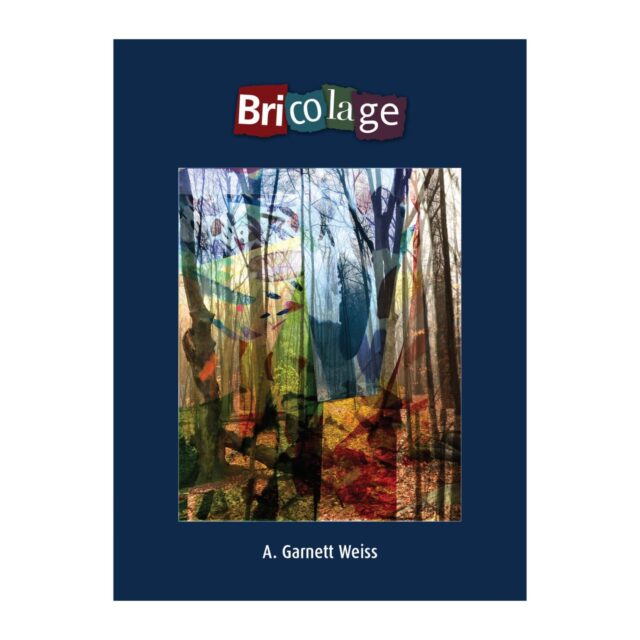 Front cover of Bricolage