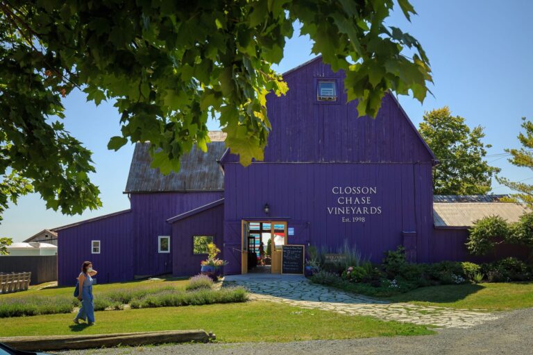 Natalie Maclean at Closson Chase Vineyards