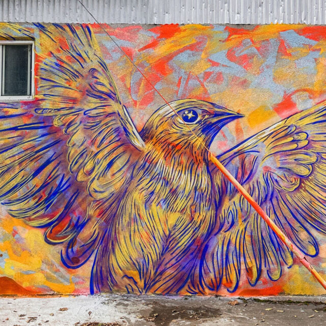 Hirundininae
Alley Mural
Montreal, QC