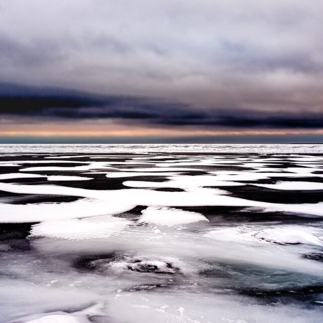 Because the Sky - Howard Goldberg