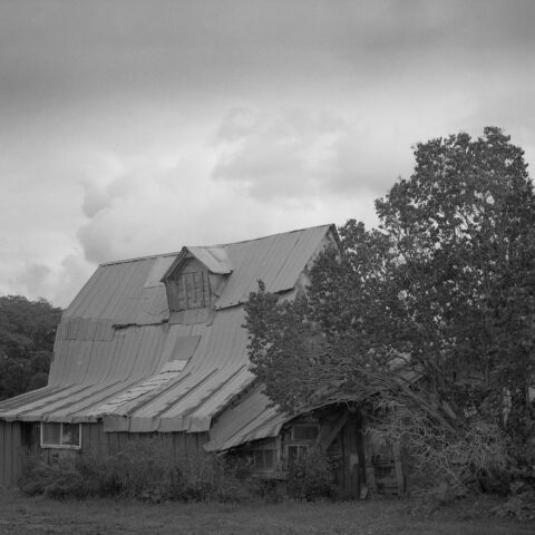 Don Kittle Photography