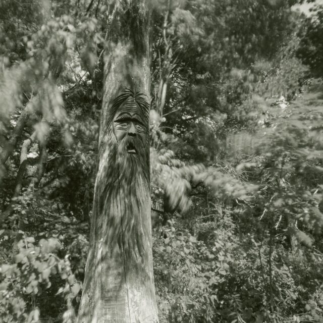 Treebeard in the Breeze