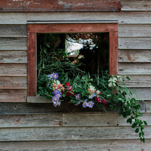 Flowering Wild