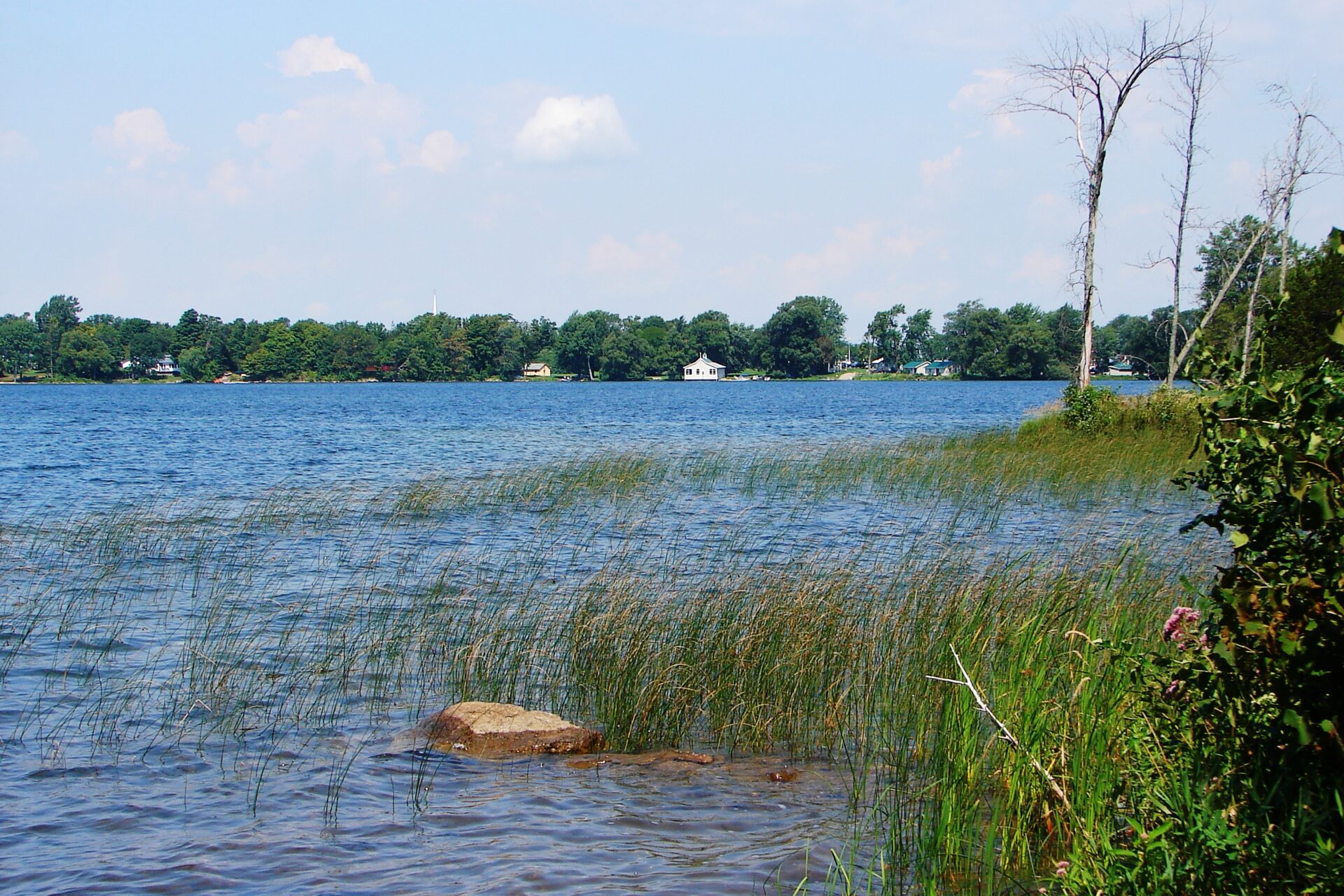 Canoe Stories – Public Paddle Edition