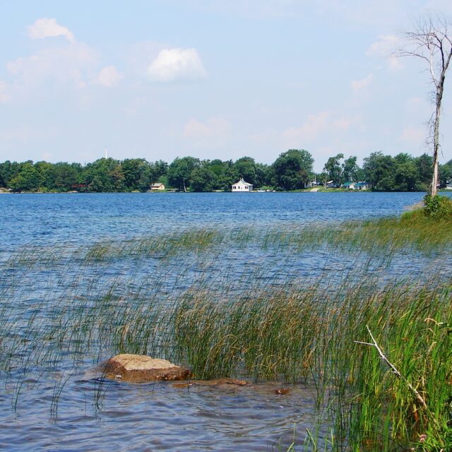 Canoe Stories - Public Paddle Edition