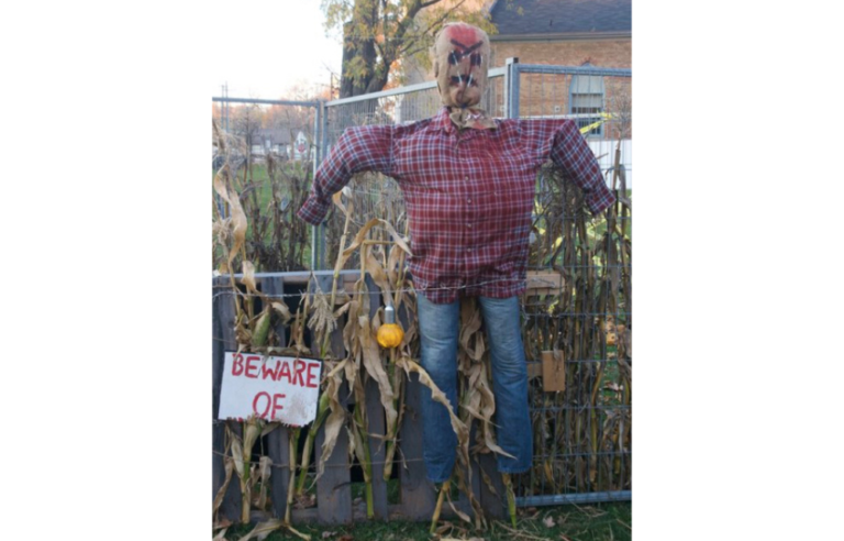 Scarecrow Festival @ Macaulay Museum