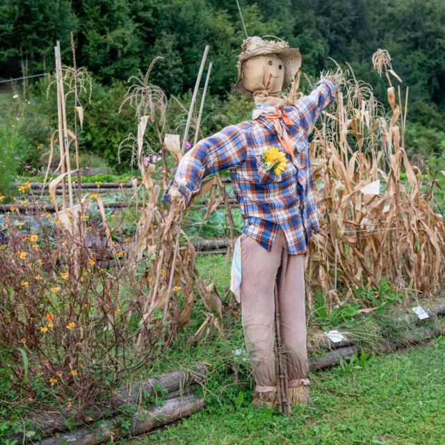 Scarecrow Festival