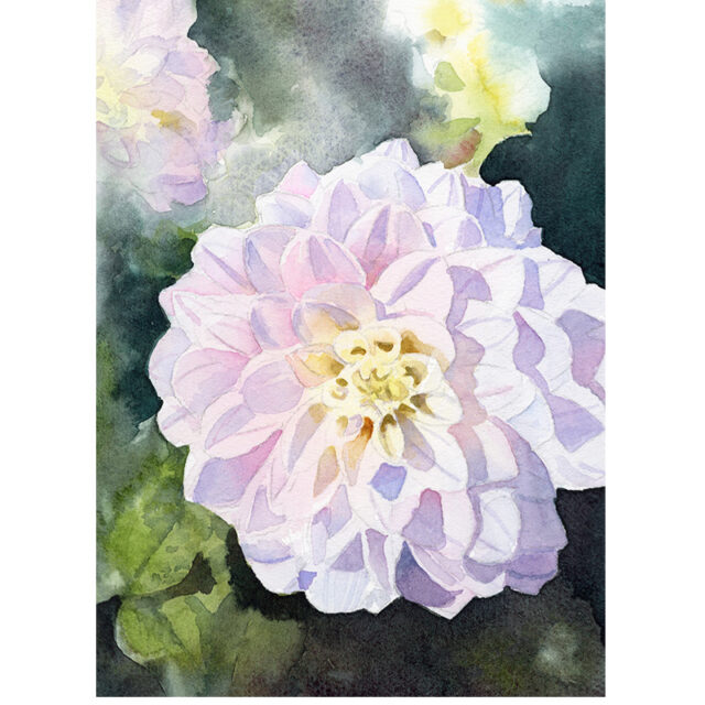 Wendy Millard watercolour painting of County Dahlias