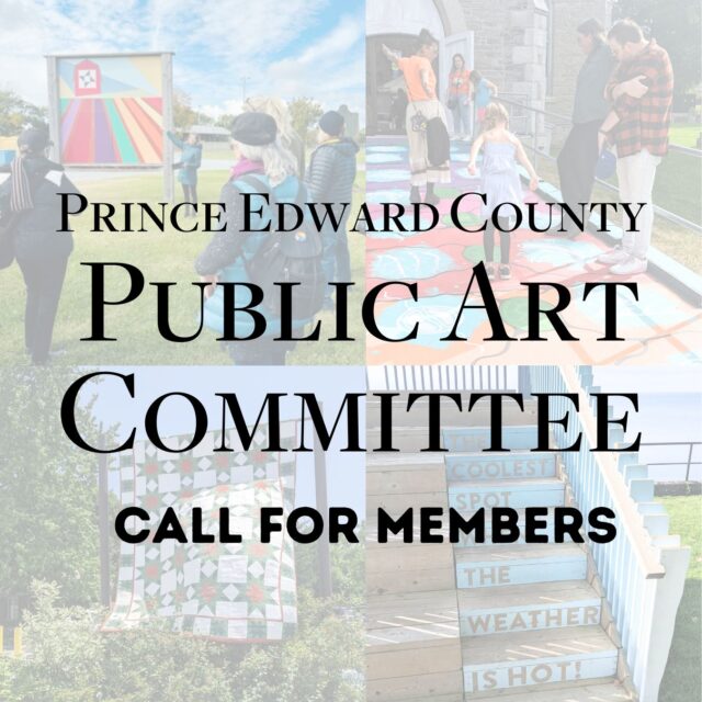 Public Art Committee