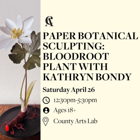 Paper Botanical Sculpting: Bloodroot Plant with Kathryn Bondy