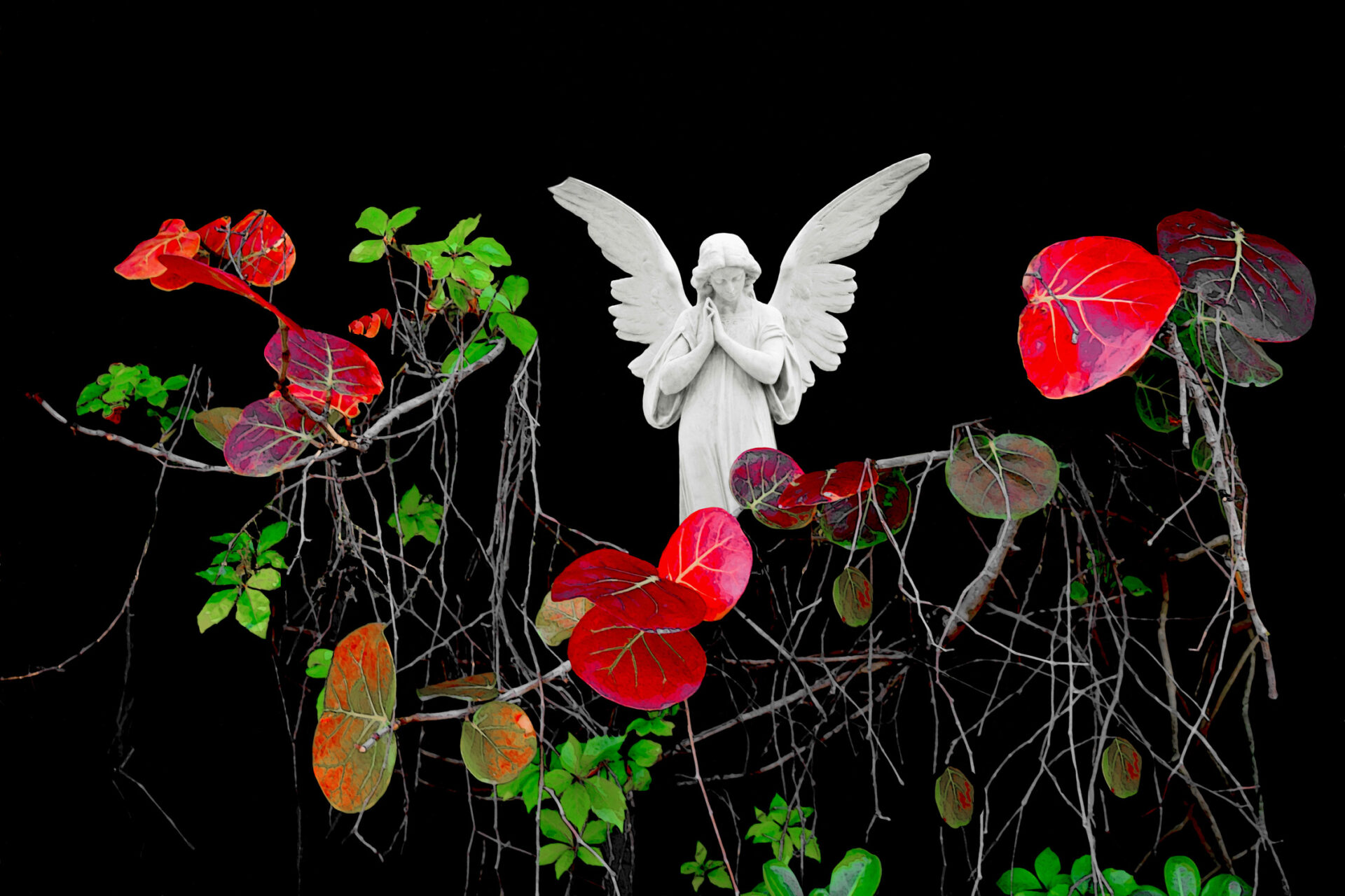 BOTANICA Fine Art Exhibition