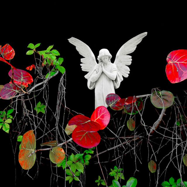 BOTANICA Fine Art Exhibition