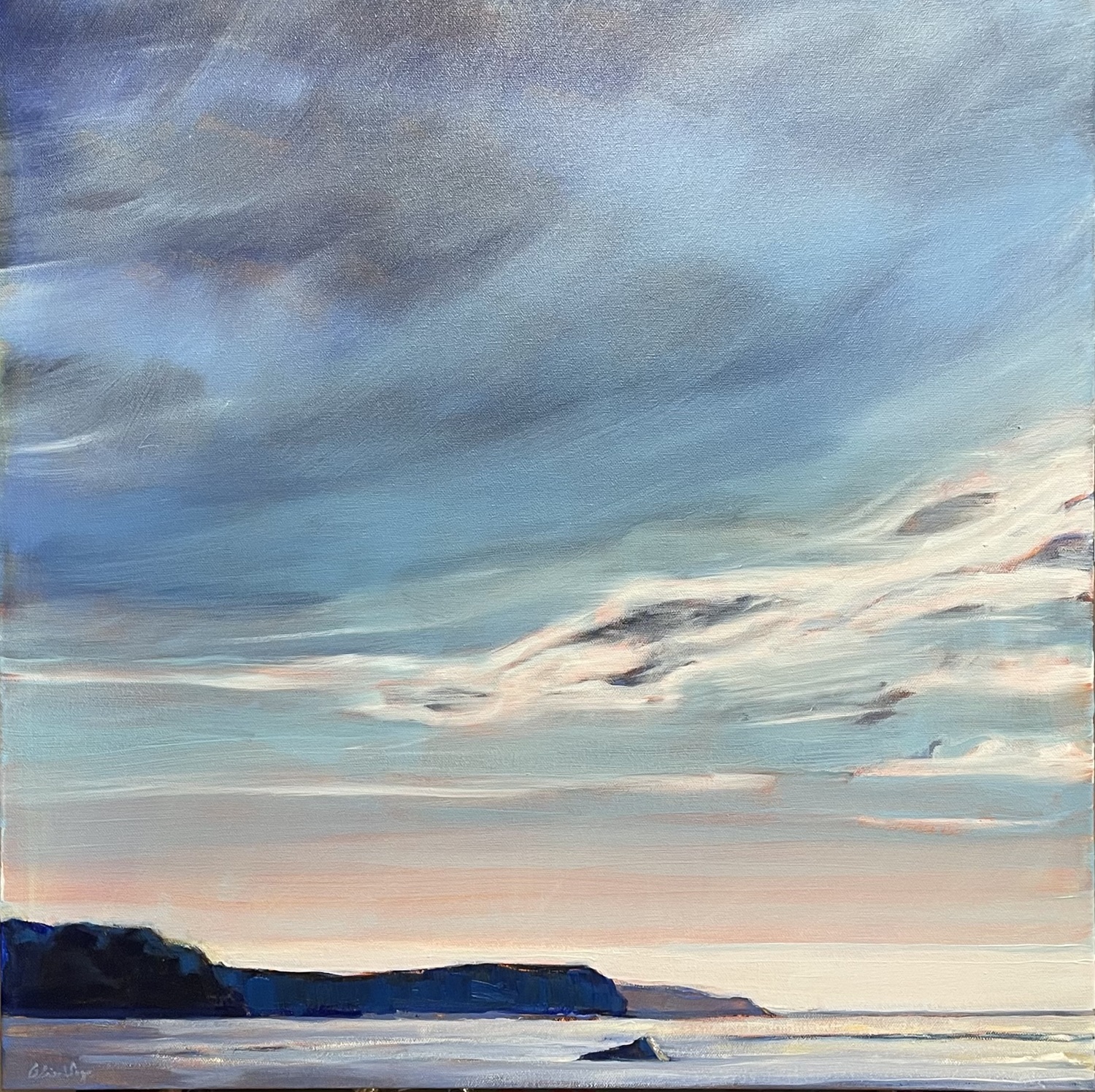 Shores and Skies