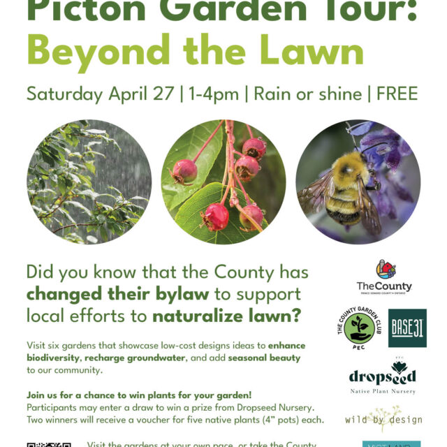 Picton Garden Tour, 2023. VTLA produced tour to show examples of lawn naturalization projects. The tour is timed with the County's new front yard naturalization by law.