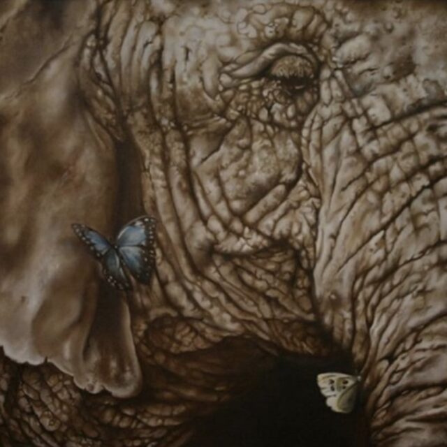 Memories of Beauty, oil on canvas