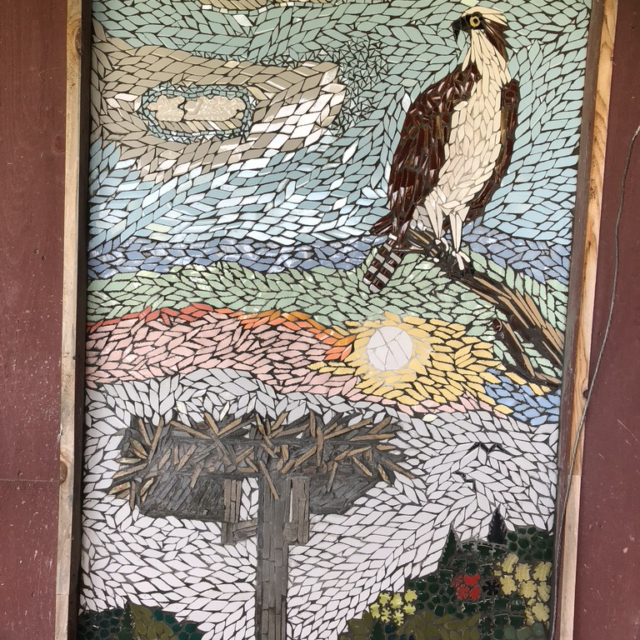 Osprey Eyrie by Robbi Pericak