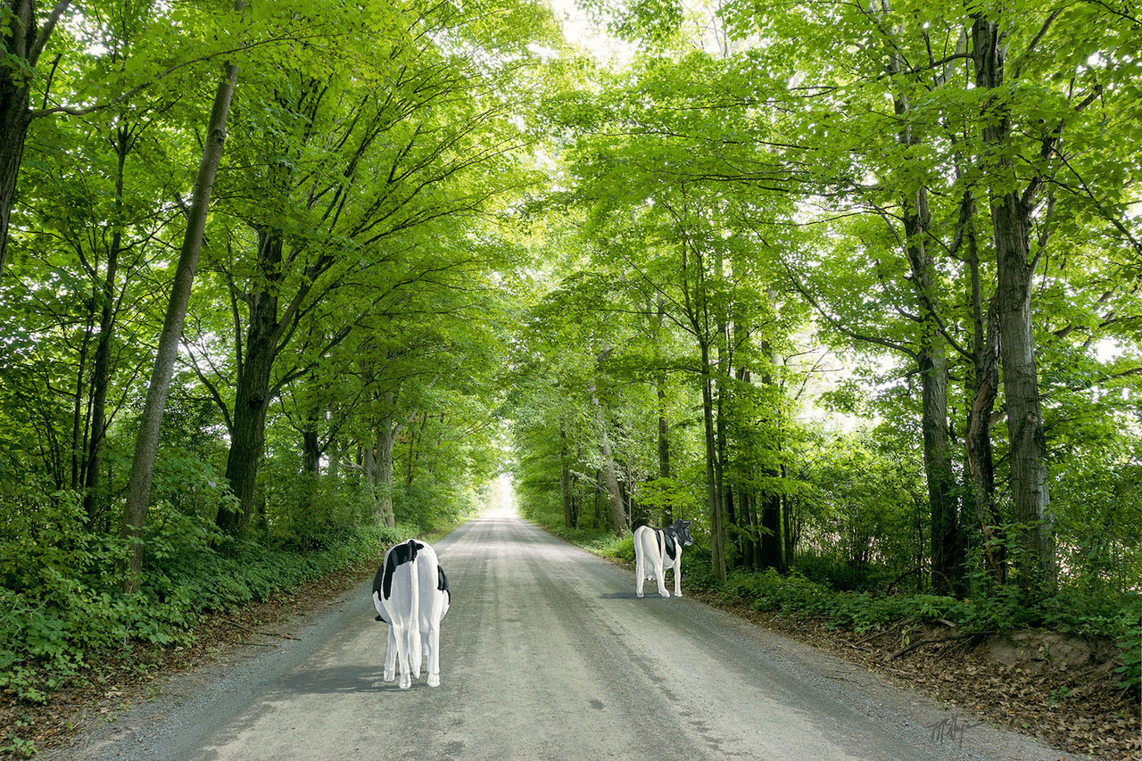 PEC | InQuarries: Laurie McGugan Solo Show