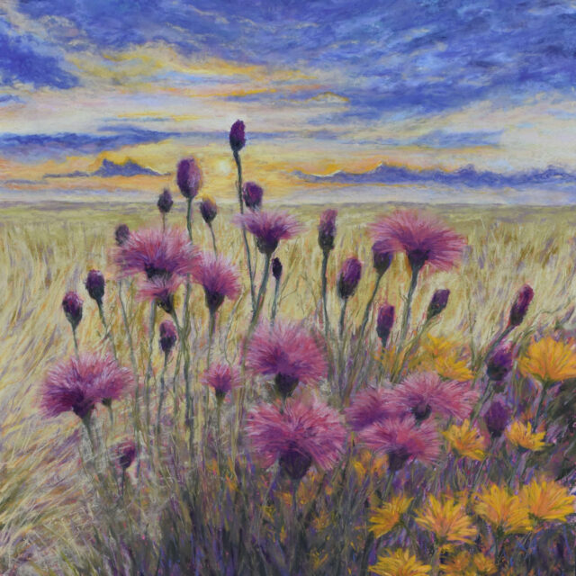 Wildflowers at Sunset, 20W x 24H inches, Framed