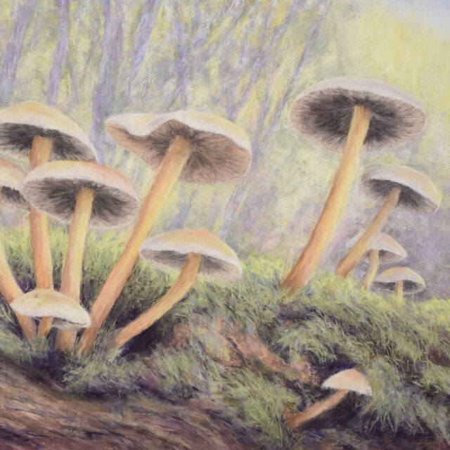 Woodland Wonder (Surprise Dans la Forêt), 36W x 24H inches, Framed under Optium Museum Acrylic.