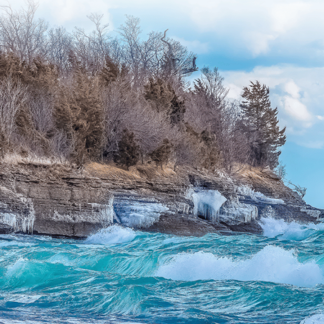 Square Foot Art Show & Sale