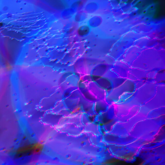 Wheel in the Sky, different densities of oil over holographic paper