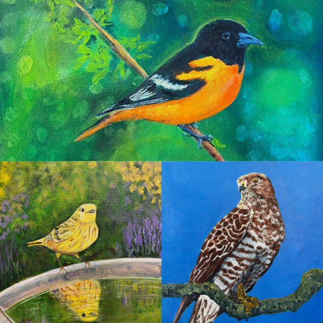 PEPtBO’s Bird of the Month Comes to Life: Art by Agnes
