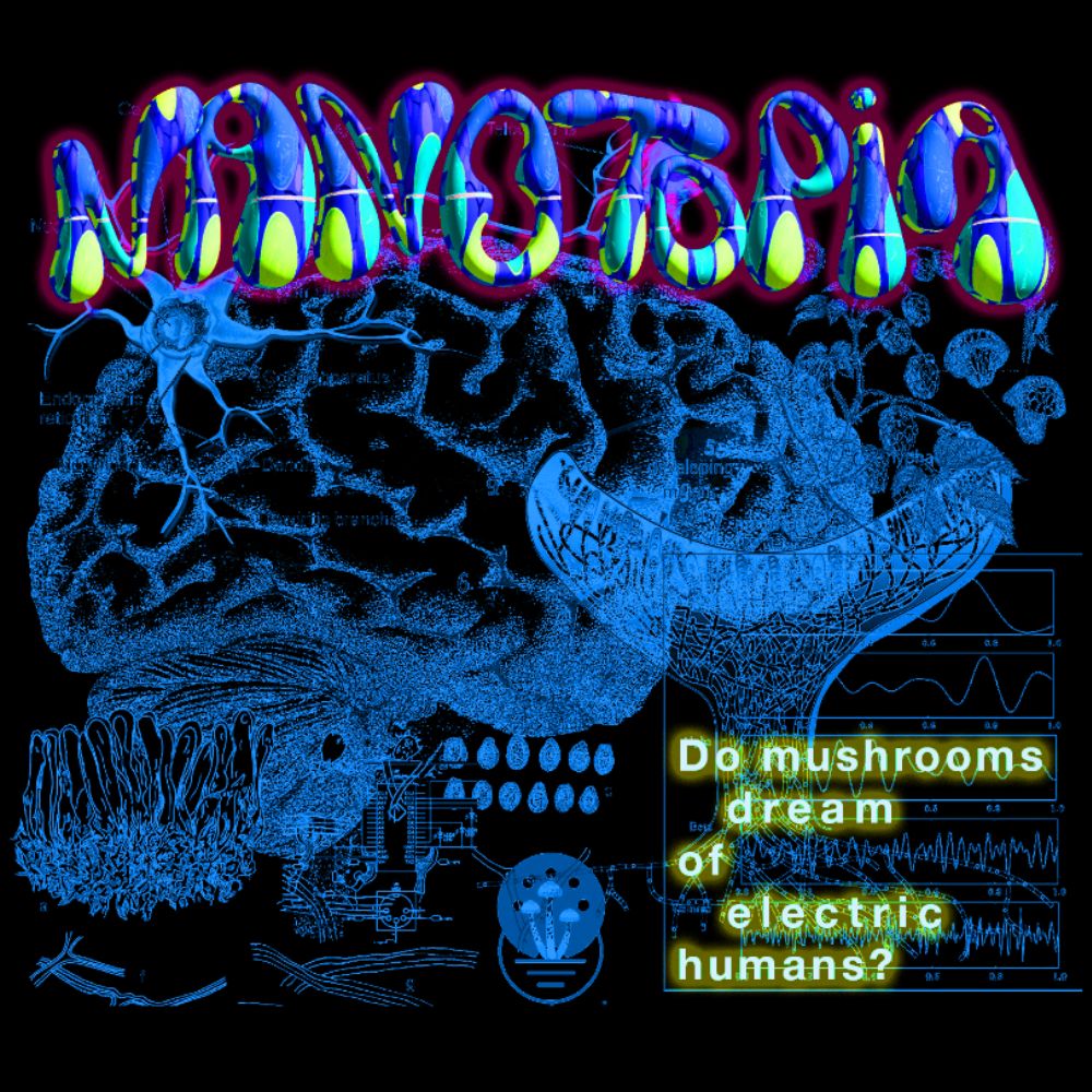 A Sound Journey with Nanotopia