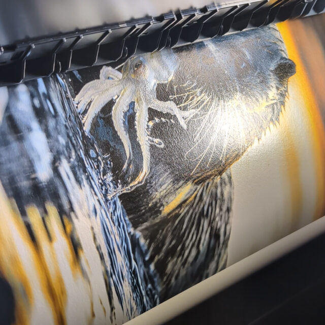 Printing, Quinte Photo Services