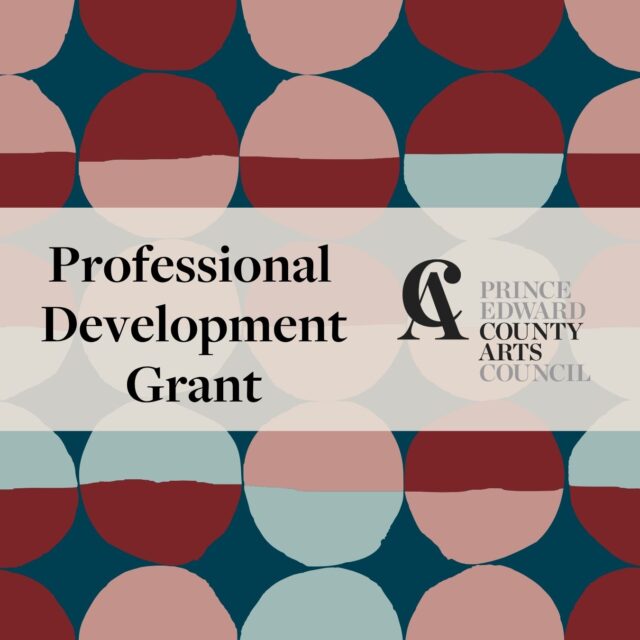 Professional Development Grant 