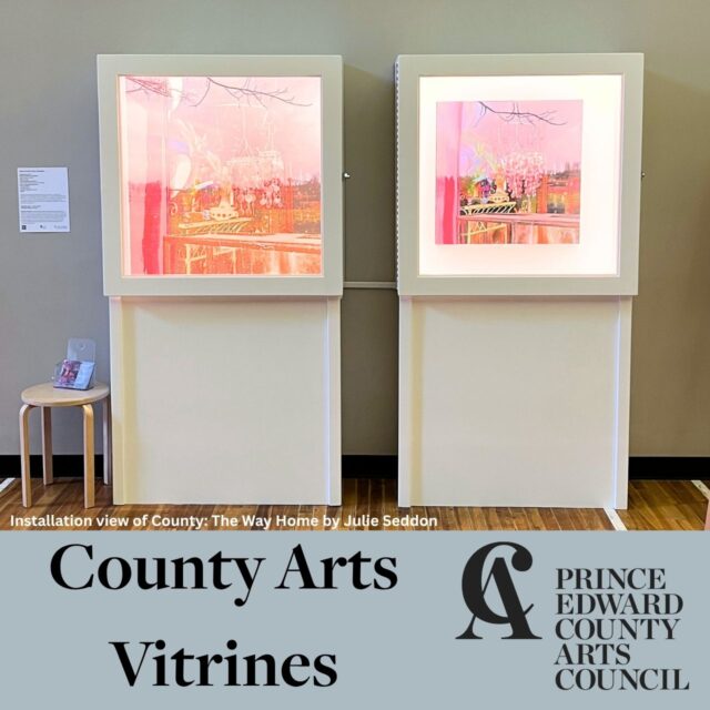 County Arts Vitrines