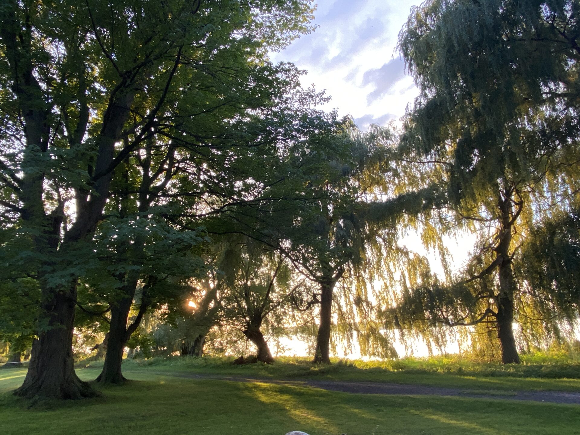 Open Call: Alchemy Artist Residency