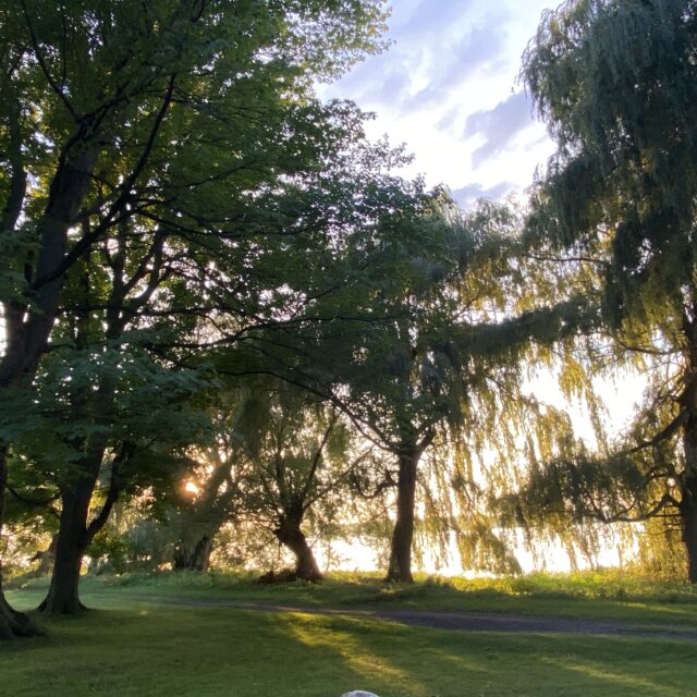 Open Call: Alchemy Artist Residency