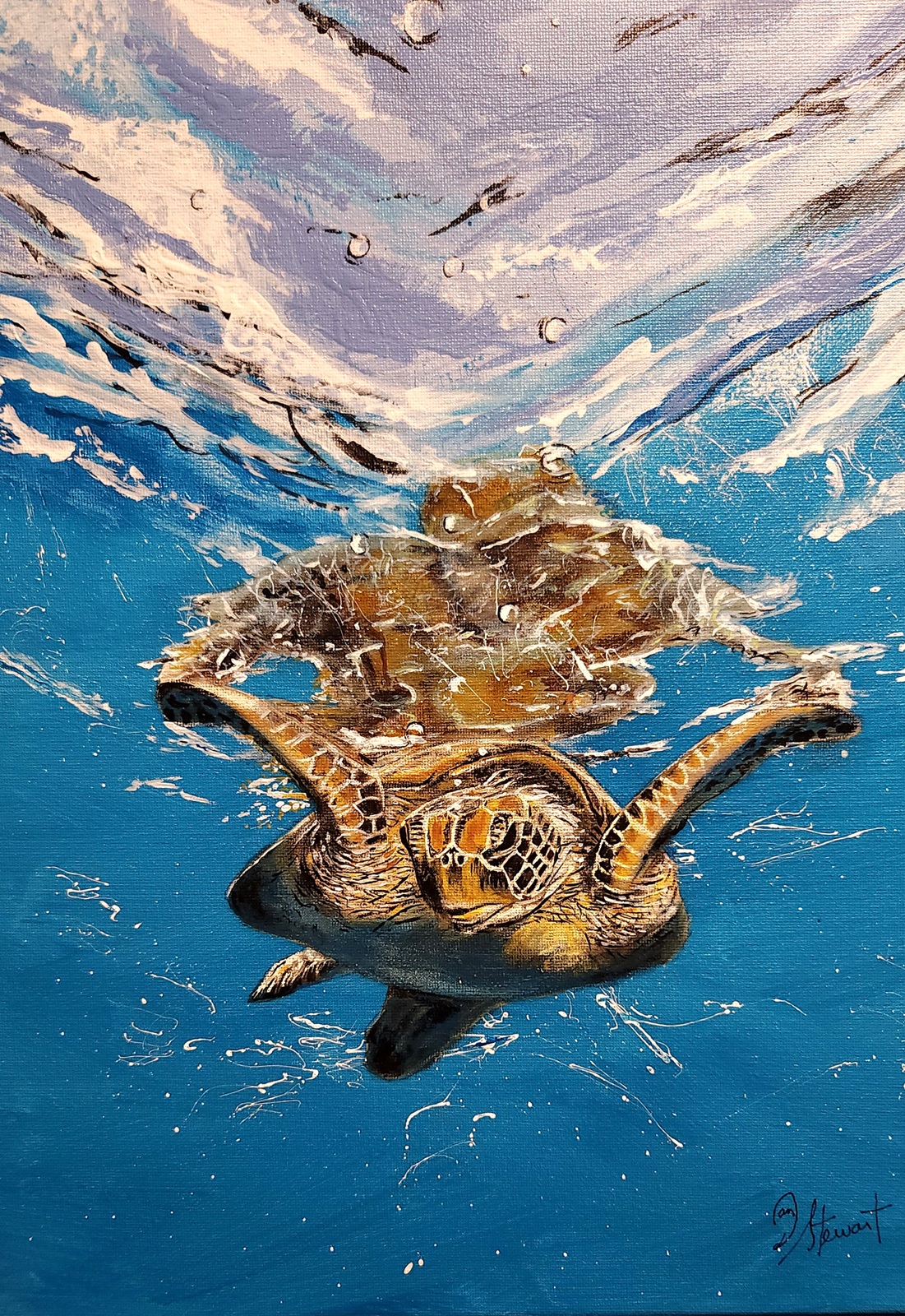 Finding Donatello