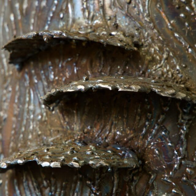 Rooted in Steel – Mona Rutenberg